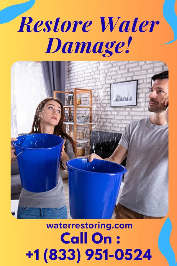 water restoration Platinum Water Damage Specialists Green Tree