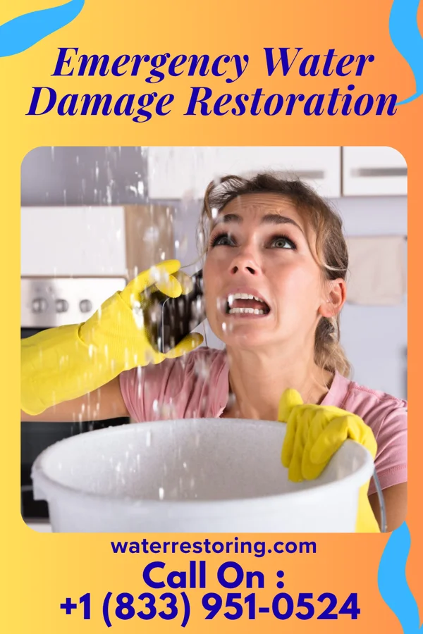 Emergency Water Damage Restoration in Green Tree, PA