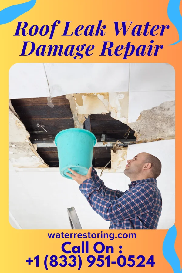 Roof Leak Water Damage Repair in Green Tree, PA